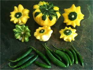 Joyce Squash and Peppers